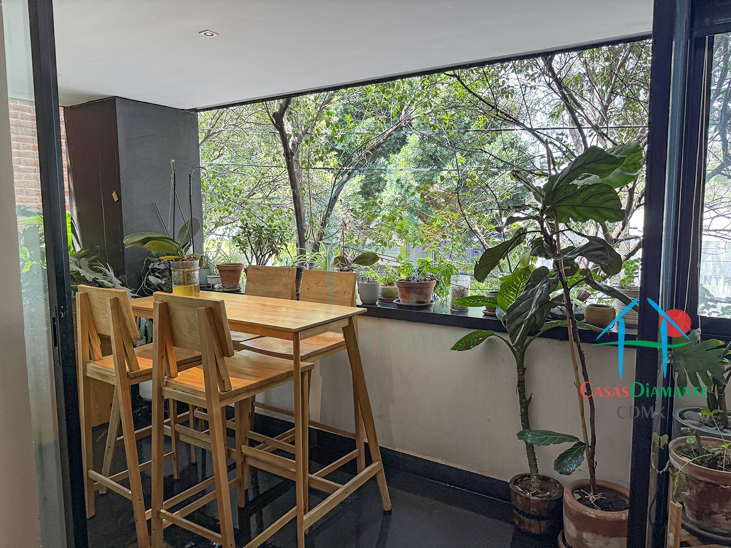 Roma Norte Departamento Orquídea - Terraza planta alta 2 Roma Norte Departamento Orquídea - Terraza planta alta 2